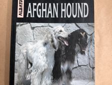 Razas: Afghan Hound