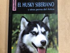 Razas: El Husky Siberiano y otros perros del ártico
